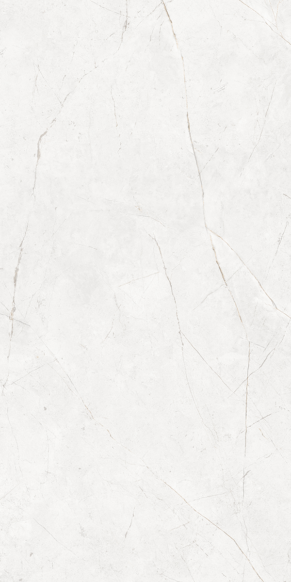 Керамогранит NL00 80x160x11 Непол.Рект. (Керамический гранит) #5