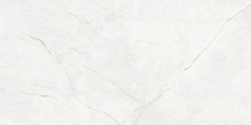 Керамогранит NL00 60x120x10 Непол.Рект. (Керамический гранит)_7