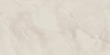 Керамогранит  NL00 60x60x10 Полир. (Керамический гранит) _2