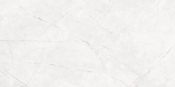 Керамогранит NL00 80x160x11 Непол.Рект. (Керамический гранит)_5