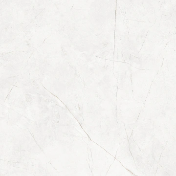 Керамогранит NL00 80x80x11 Непол.Рект. (Керамический гранит)_4