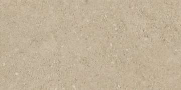 Керамогранит NP02 30,6x60,9x8 Непол. (Керамический гранит)_6