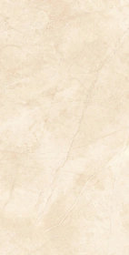 Керамогранит  TE04 60x120x10 Непол.Рект. (Керамический гранит) _1