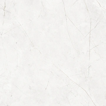 Керамогранит NL00 80x80x11 Непол.Рект. (Керамический гранит)_5