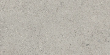 Керамогранит NP01 30,6x60,9x8 Непол. (Керамический гранит)_3