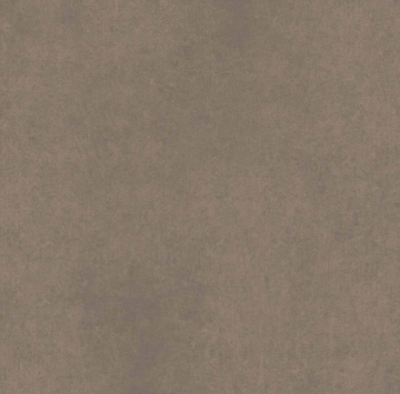 Керамогранит CA04 60x60x9 Непол.Рект. (Керамический гранит)-11