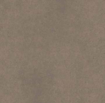 Керамогранит CA04 60x60x9 Непол.Рект. (Керамический гранит)_10