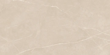 Керамогранит NL01 60x120x9 Непол.Рект. (Керамический гранит)_6