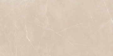 Керамогранит NL01 60x120x10 Непол.Рект. (Керамический гранит)_9