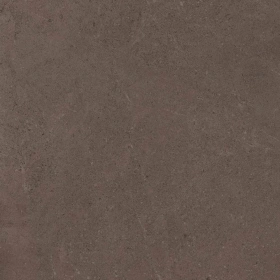 Керамогранит  GO02 60x60 Непол.Рект. (Керамический гранит) _1