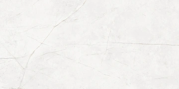 Керамогранит NL00 60x120x10 Непол.Рект. (Керамический гранит)_5