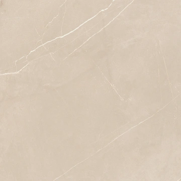 Керамогранит NL01 60x60x10 Непол.Рект. (Керамический гранит)_19