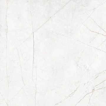 Керамогранит NL00 60x60x10 Полир. (Керамический гранит)_4