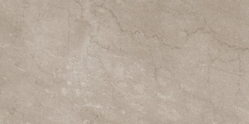Керамогранит AEM02 80x160x10 Непол.Рект. (Керамический гранит)_10