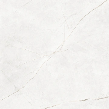 Керамогранит NL00 60x60x10 Полир. (Керамический гранит)_19