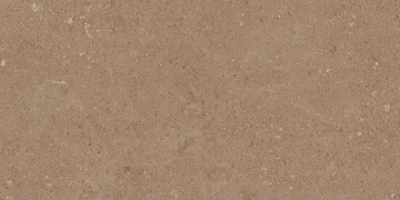 Керамогранит NP03 30,6x60,9x8 Непол. (Керамический гранит)_2