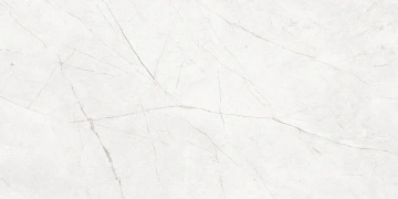 Керамогранит NL00 60x120x10 Непол.Рект. (Керамический гранит)_8