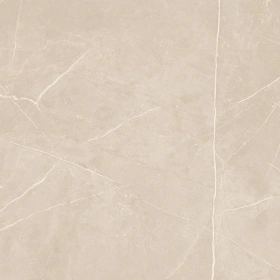 Керамогранит  NL00 60x60x9 Полир. (Керамический гранит) _5