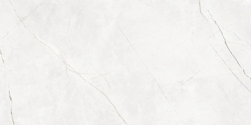 Керамогранит NL00 60x120x10 Полир. (Керамический гранит)_9