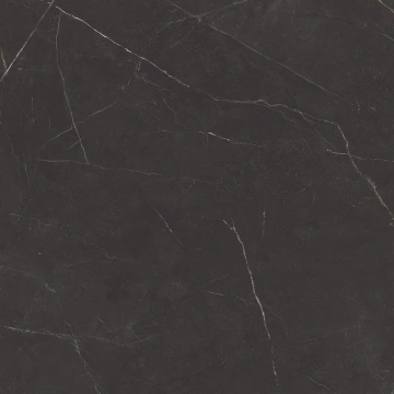 Керамогранит NL04 60x60x10 Непол.Рект. (Керамический гранит)_5