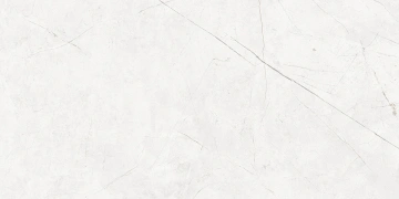 Керамогранит NL00 60x120x10 Непол.Рект. (Керамический гранит)_4