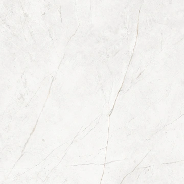 Керамогранит NL00 60x60x10 Полир. (Керамический гранит)_18