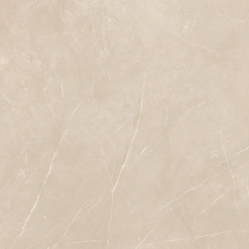 Керамогранит NL01 60x60x10 Полир. (Керамический гранит)_14
