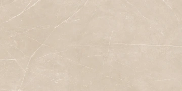 Керамогранит  NL03 60x60x10 Непол.Рект. (Керамический гранит) _4