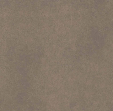 Керамогранит CA04 60x60x9 Непол.Рект. (Керамический гранит)_5