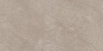 Керамогранит AEM02 60x120x9 Непол.Рект. (Керамический гранит)_8