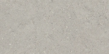 Керамогранит NP01 30,6x60,9x8 Непол. (Керамический гранит)_5