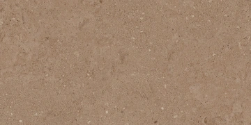 Керамогранит NP03 30,6x60,9x8 Непол. (Керамический гранит)_3