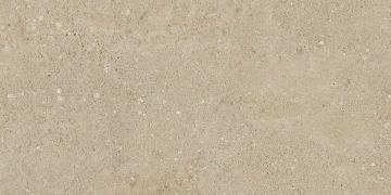 Керамогранит NP02 30,6x60,9x8 Непол. (Керамический гранит)_5