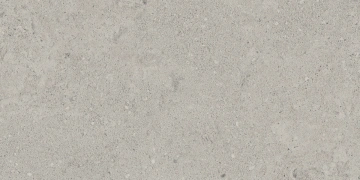 Керамогранит NP01 30,6x60,9x8 Непол. (Керамический гранит)_2