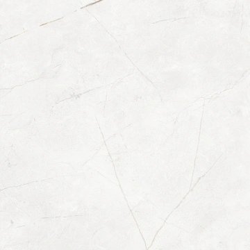 Керамогранит NL00 60x60x10 Полир. (Керамический гранит)_2