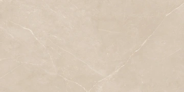 Керамогранит NL01 60x120x10 Непол.Рект. (Керамический гранит)_6