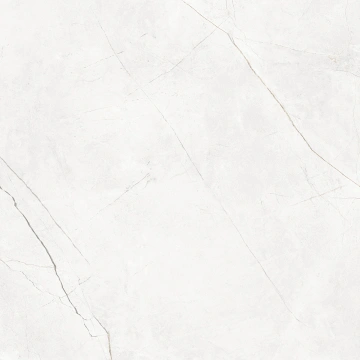 Керамогранит NL00 60x60x10 Непол.Рект. (Керамический гранит)_3