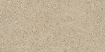 Керамогранит NP02 30,6x60,9x8 Непол. (Керамический гранит)_2