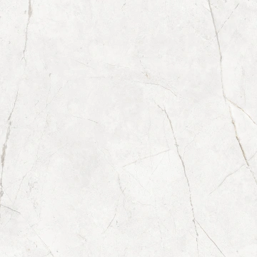 Керамогранит NL00 60x60x10 Полир. (Керамический гранит)_13
