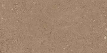 Керамогранит NP03 30,6x60,9x8 Непол. (Керамический гранит)_1
