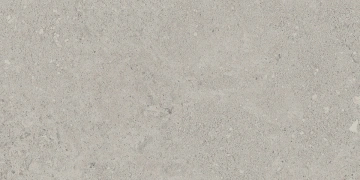 Керамогранит NP01 30,6x60,9x8 Непол. (Керамический гранит)_1