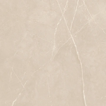 Керамогранит NL01 60x60x10 Полир. (Керамический гранит)_10