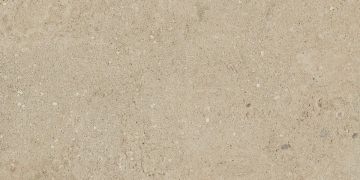 Керамогранит NP02 30,6x60,9x8 Непол. (Керамический гранит)_4