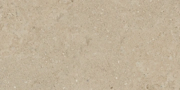 Керамогранит NP02 30,6x60,9x8 Непол. (Керамический гранит)_3