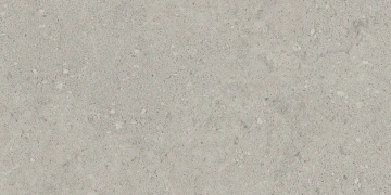 Керамогранит NP01 30,6x60,9x8 Непол. (Керамический гранит)_10