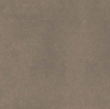 Керамогранит CA04 60x60x9 Непол.Рект. (Керамический гранит)_1