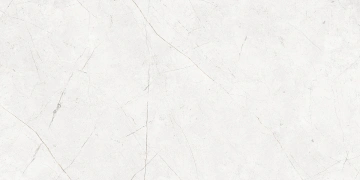 Керамогранит NL00 60x120x10 Полир. (Керамический гранит)_1