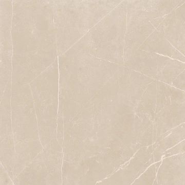 Керамогранит NL01 60x60x10 Полир. (Керамический гранит)_2