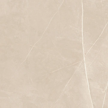 Керамогранит NL01 60x60x10 Непол.Рект. (Керамический гранит)_4