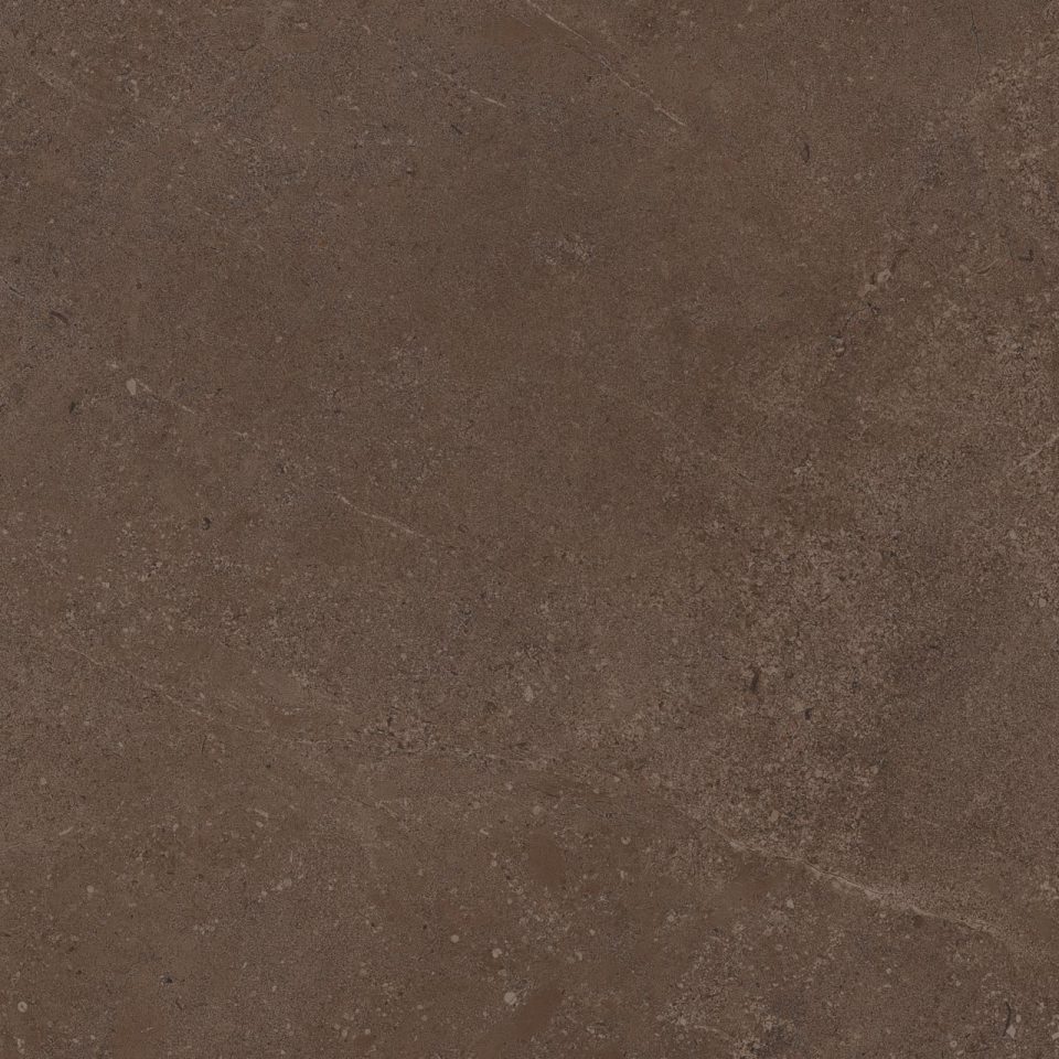 Керамогранит GO03 60x60x9 Непол.Рект. (Керамический гранит) #6